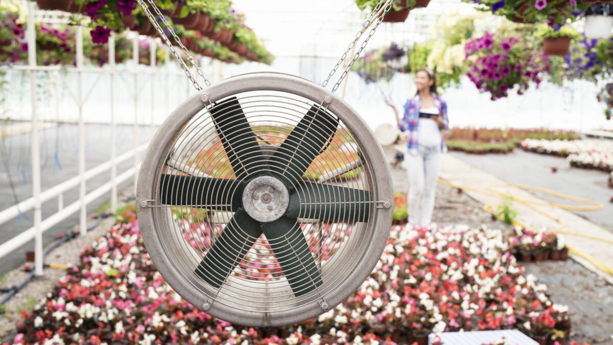 Industrial fans in the agricultural industry